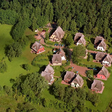 Kuestenwaldvilla In Dierhagen Dierhagen