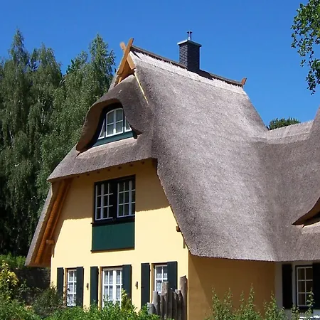 Kuestenwaldvilla In Dierhagen Dierhagen
