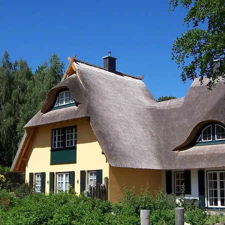 Kuestenwaldvilla In Dierhagen * Dierhagen